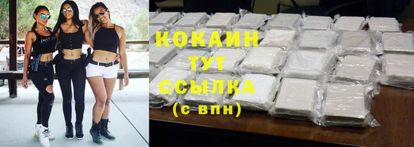 гашик Аркадак