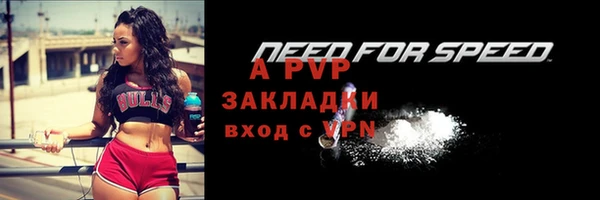 амф Арсеньев