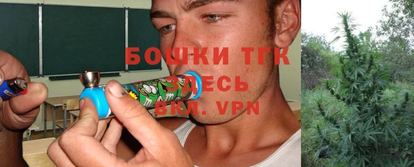 гашик Аркадак