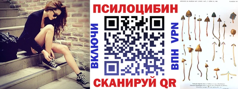 Псилоцибиновые грибы мицелий  купить наркотики сайты  гидра сайт  Устюжна 